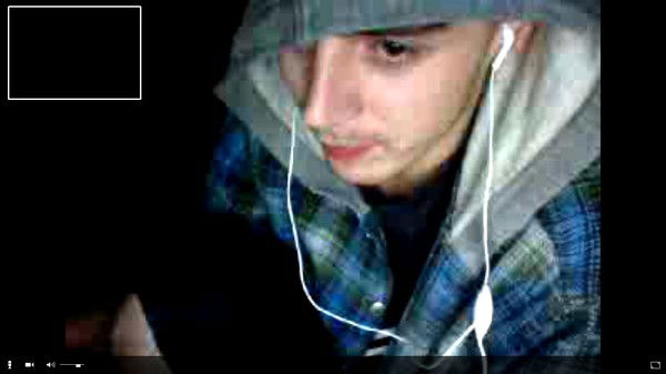 Владислав Миленин