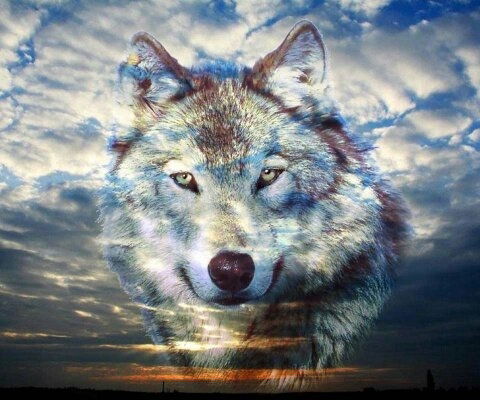 Андрей Пилипейко