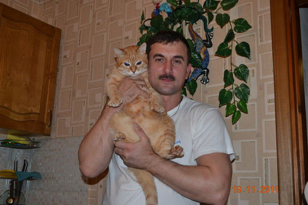 Флорин Андрейка