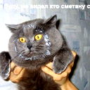 Вася Семенов