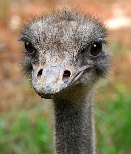 Максим Клепинин