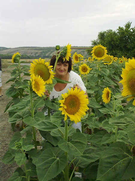 Елена Гришина