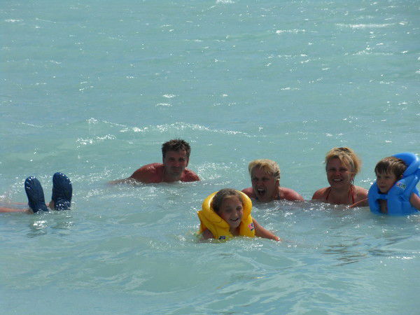 Галчонок Белик