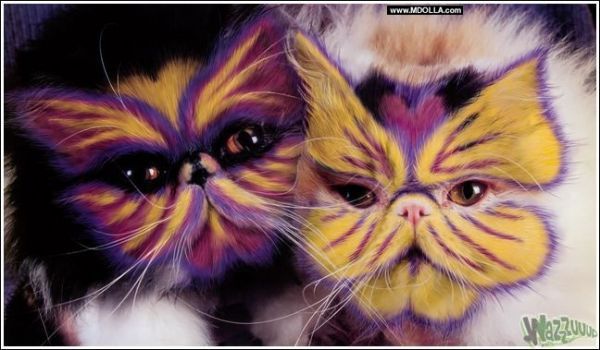 Наталия Лобойко