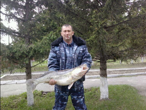 Вадим Цабека