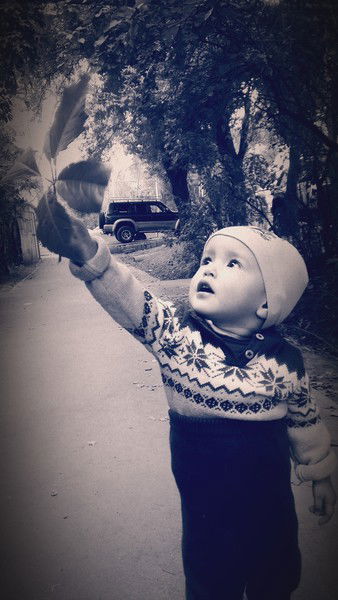 Даурен Адамбаев