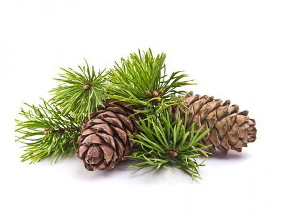 Татьяна Короткова