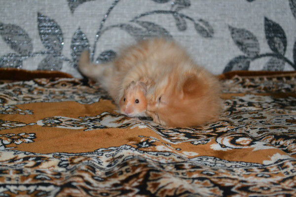 Эльвира Гарифзянова