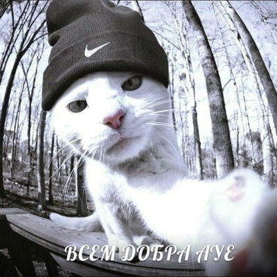 Яна Абраменкова