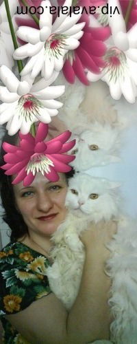 Оксана Евсеева