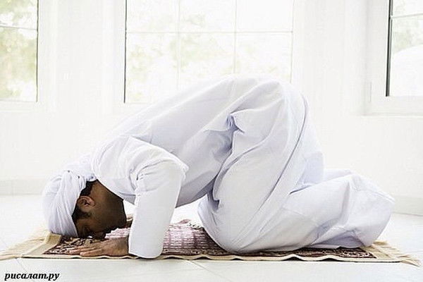 Абу Камолов