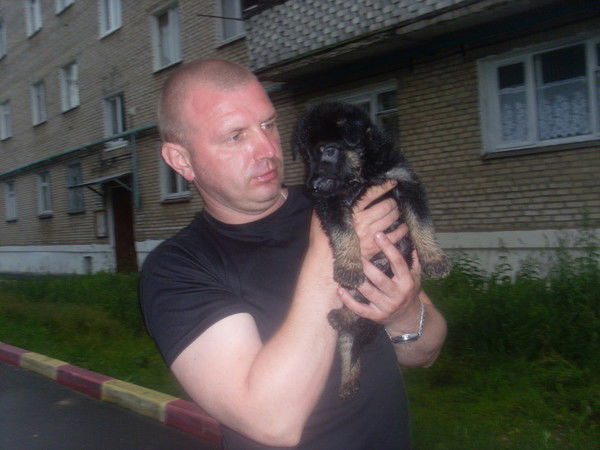 Сергей Терехов