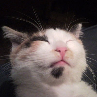 Александр Крайнюк