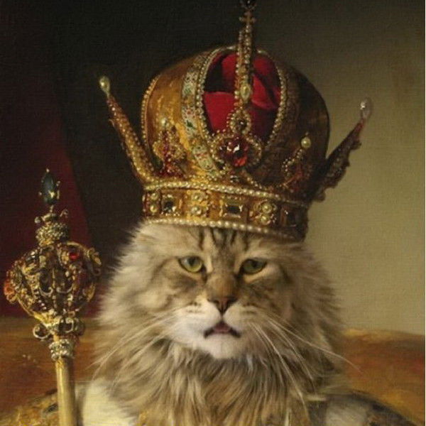 Михаил Котов