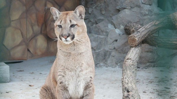 Виктория Гребенюк