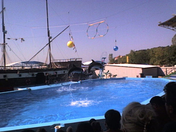 Наташа Шаповалова