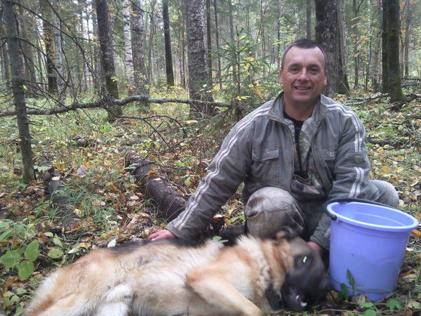 Сергей Вохминцев