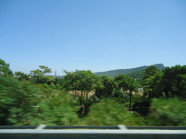 Николай Кобелев