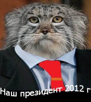 Александр Романов