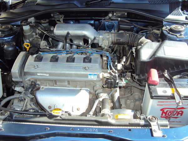 Зайцева Елена