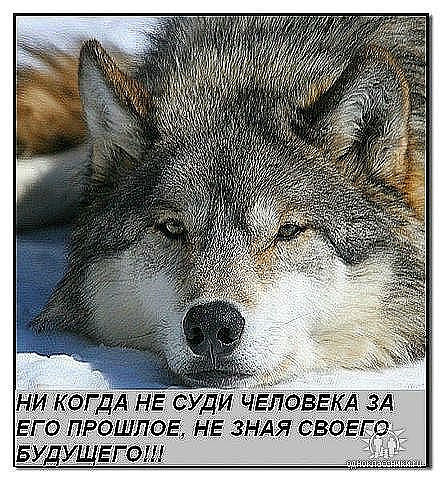 Александр Фролов