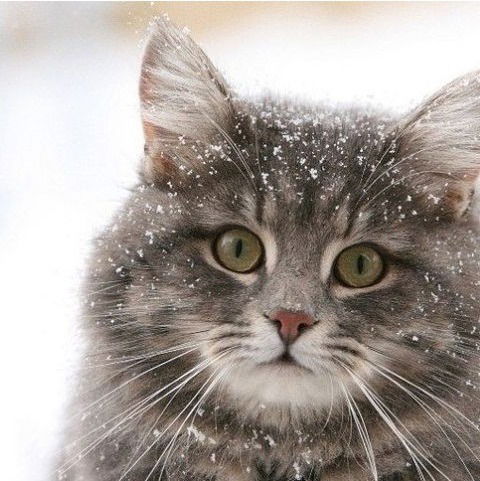 Дмитрий Найдин