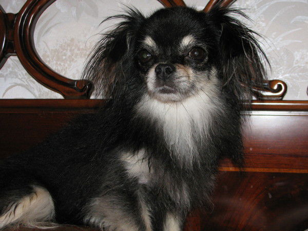 Лена Орехова