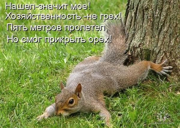 Павел Виноградов