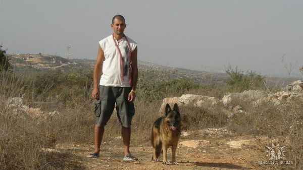 Дмитрий Мешковский