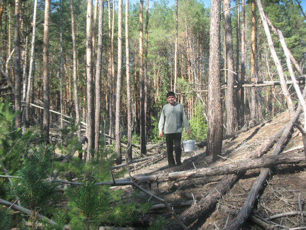 Андрей Остапенко
