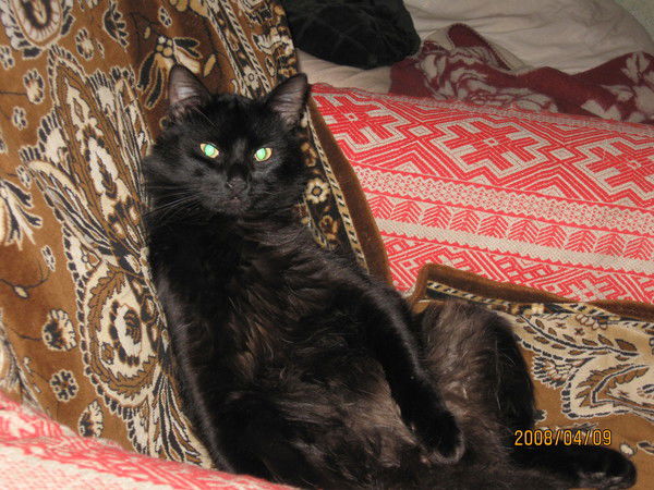 Тимофей Петаев