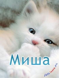 Михаил Карих