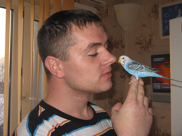 Максим Малюков