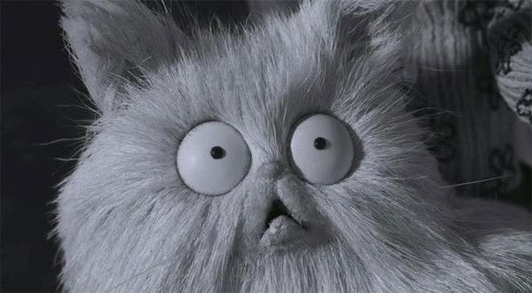 Марк Войташек