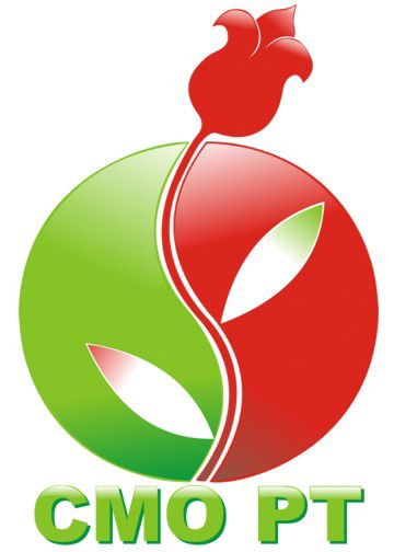 Совет Молодежных Организаций Рт