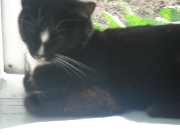 Александр Сеначин