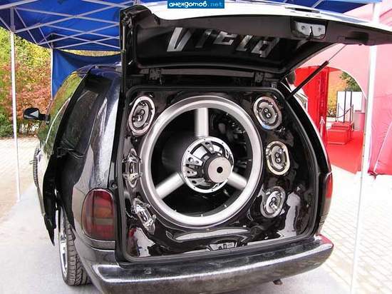 Антон Кредин