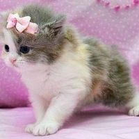 Анна Савчук