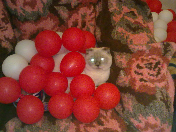 Инга Геннадиевна