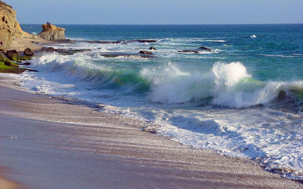 Антон Ласточкин