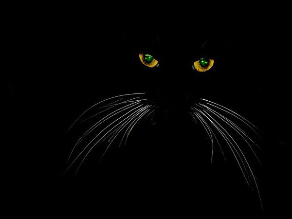 Сергей Филиппов