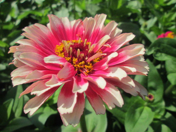 Ольга Усольцева