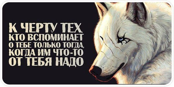 Евгений Когтев