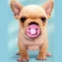 Танюха И Ко