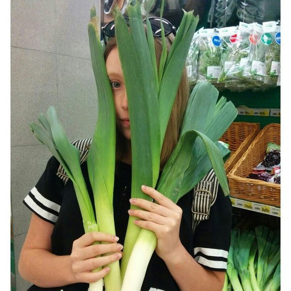 Ирина Перевозникова