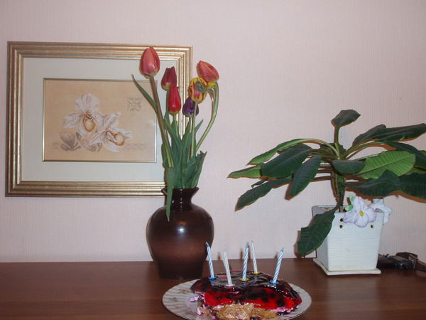 Светлана Рушковская