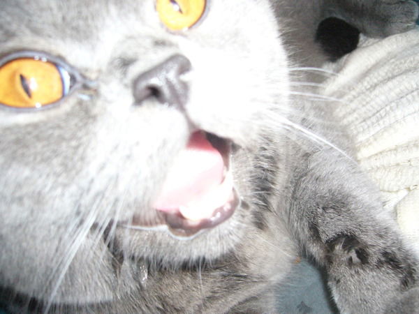 Анастасия Узелкова