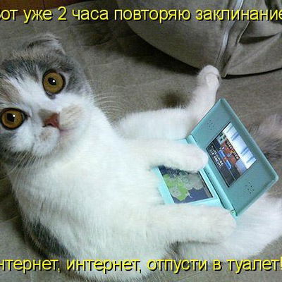 Анастасия Бушуева