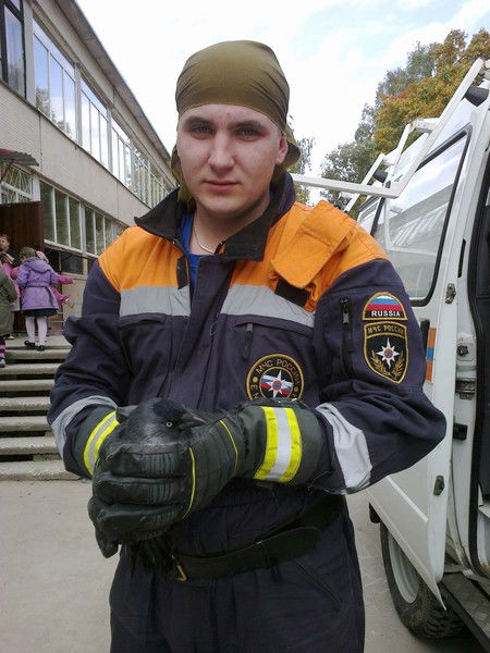 Евгений Веселов