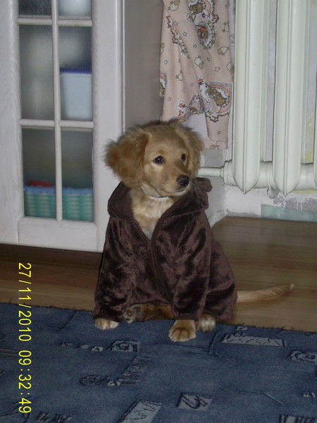 Юрий Кривохатько